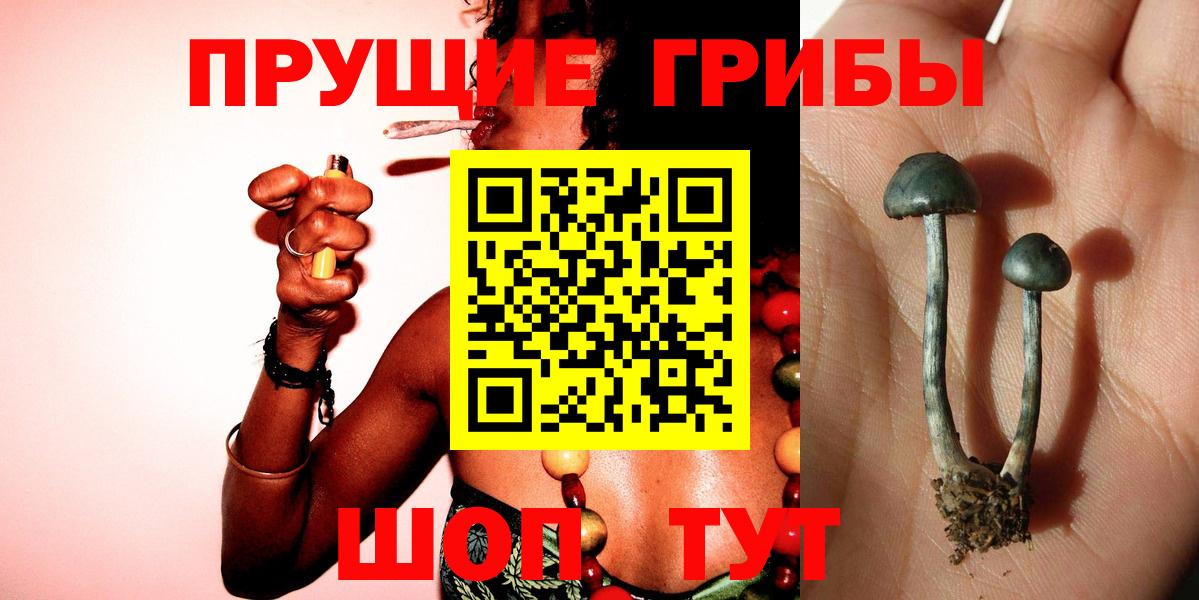 Галлюциногенные грибы GOLDEN TEACHER Гусь-Хрустальный