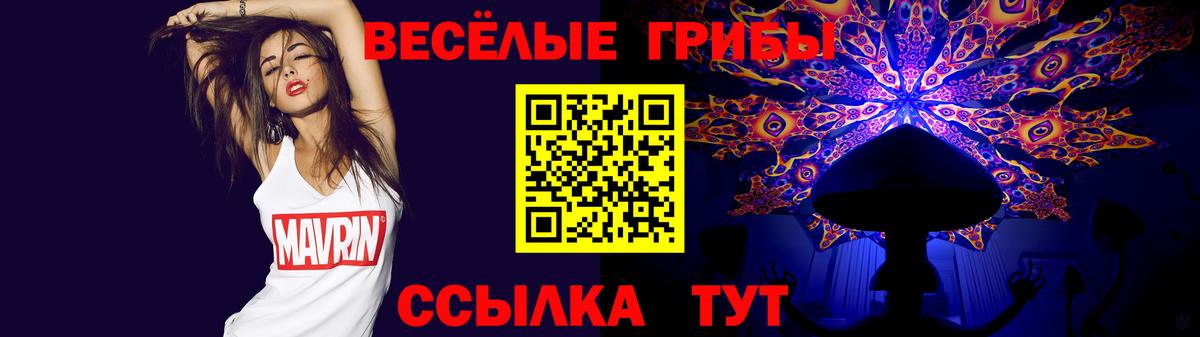 Галлюциногенные грибы Cubensis  Вход с VPN  Гусь-Хрустальный  Галлюциногенные грибы MAGIC MUSHROOMS 
